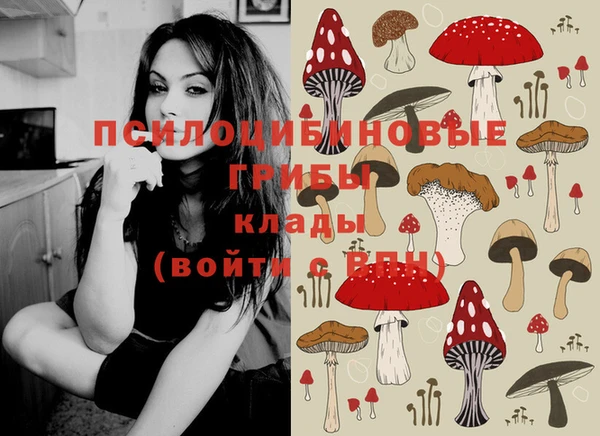 прущая мука Кукмор