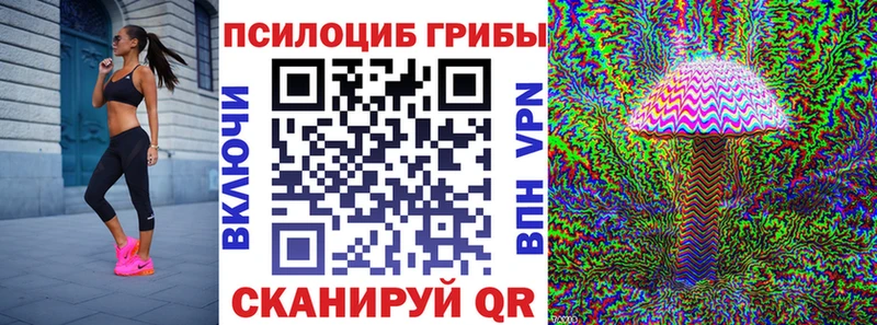 Галлюциногенные грибы MAGIC MUSHROOMS  Купить где  Андреаполь 