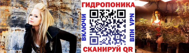 Марихуана сатива Купить Андреаполь